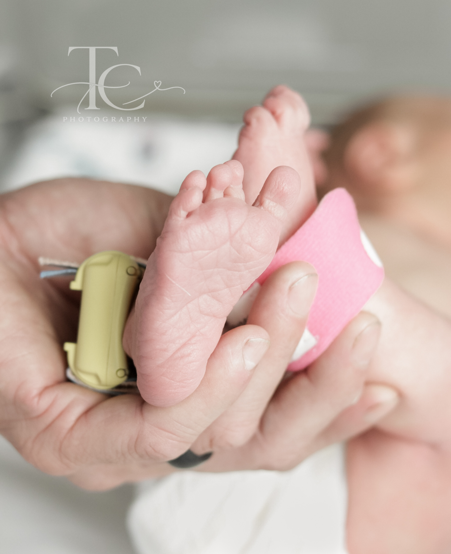 Close-up of tiny newborn feet held in a parent’s hand