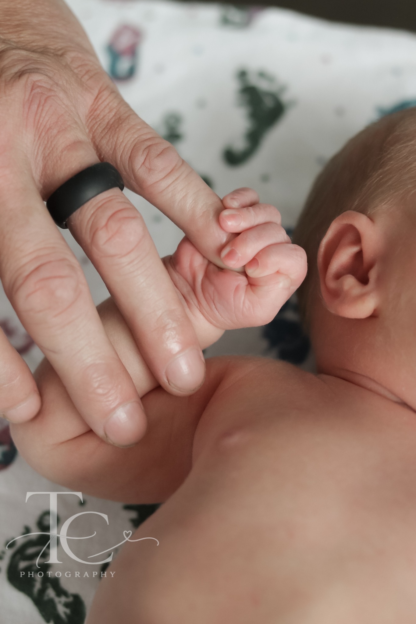 Newborn fingers holding a parent’s finger