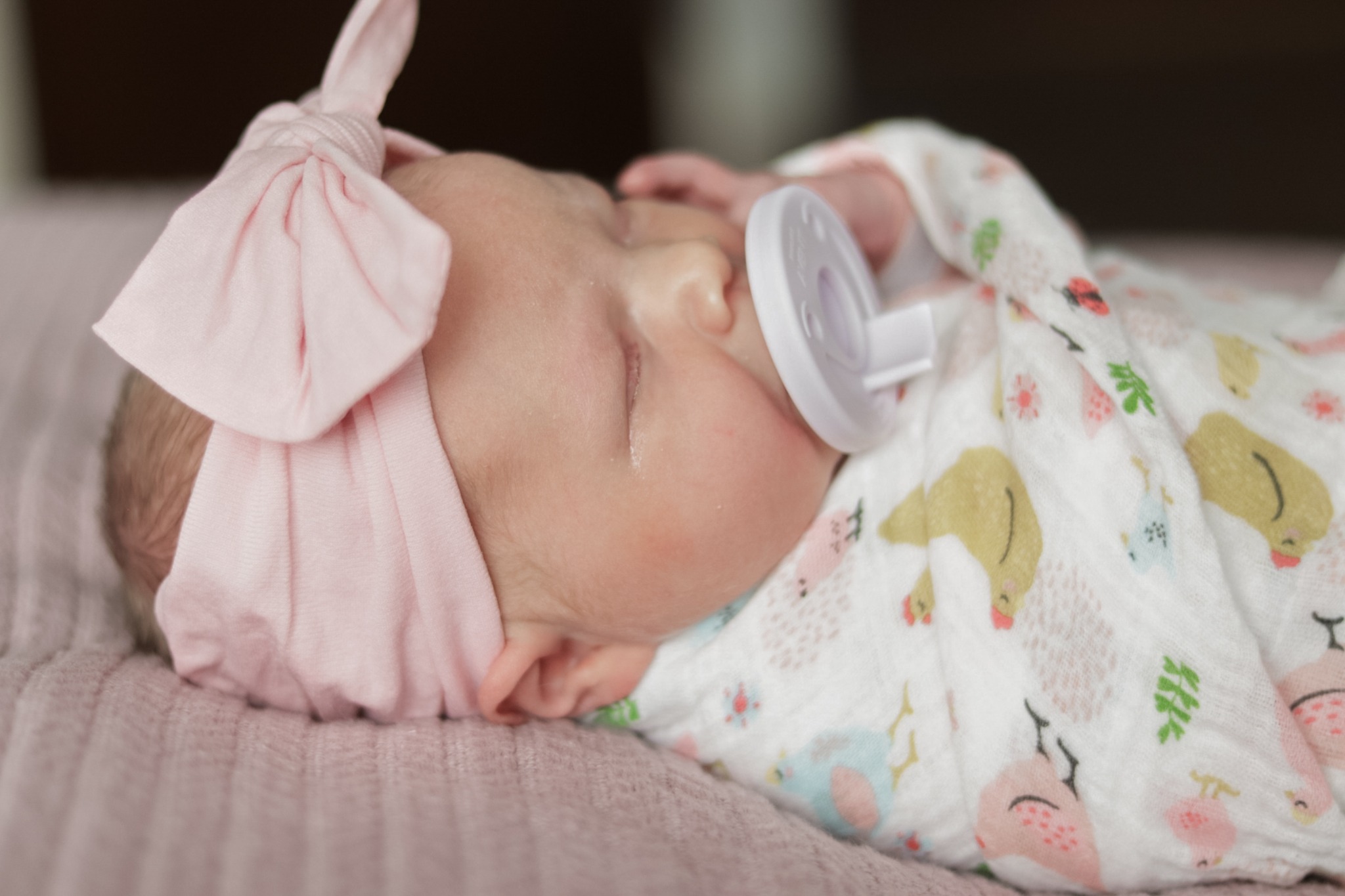 Newborn resting with a pacifier and pink bow