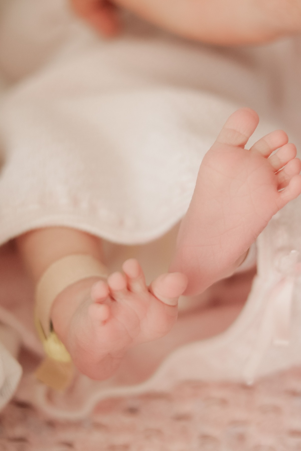 Close-up of newborn feet on a pink blanket